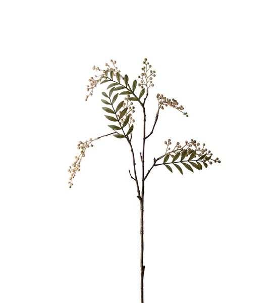 Hovedbilde Bærkvist (krem 70 cm)