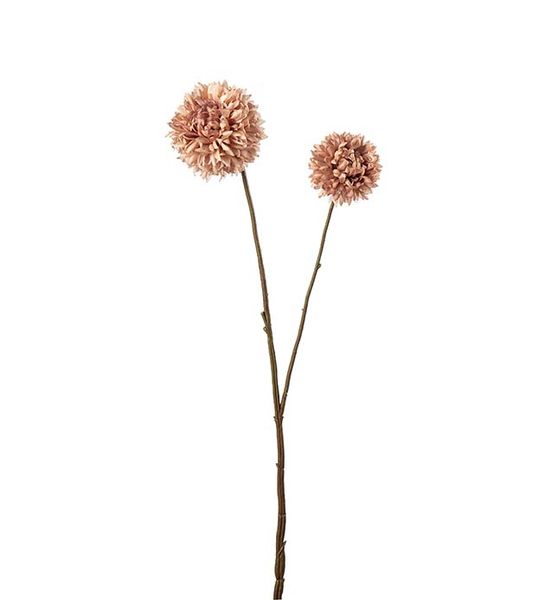 Hovedbilde Krysantemum (brun 65 cm)